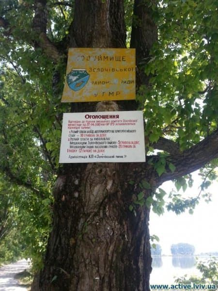 Золочів, Шевченківське озеро — рибальське місце