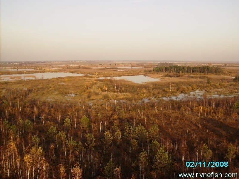 Поляни — рибальське місце